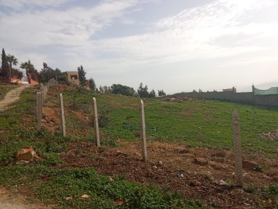 Terrain titré à Begdour