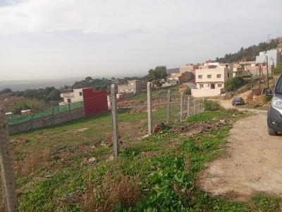 Terrain titré à Begdour
