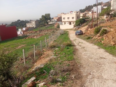 Terrain titré à Begdour