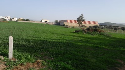 Terrain titré à Begdour