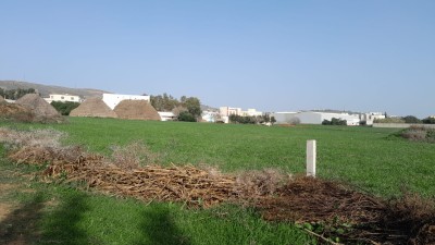 Terrain titré à Begdour