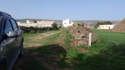Terrain titré à Begdour