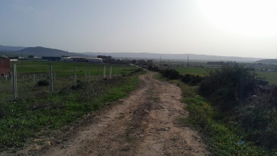 Terrain titré à Begdour