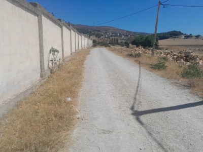 Terrain à louer - Begdour Tanger